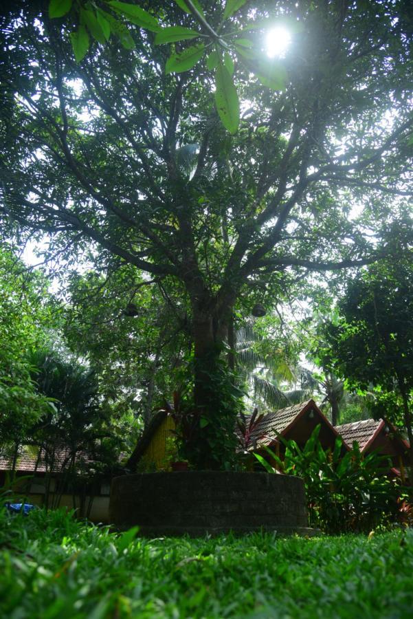 Savithri Inn Cottage Varkala Eksteriør billede